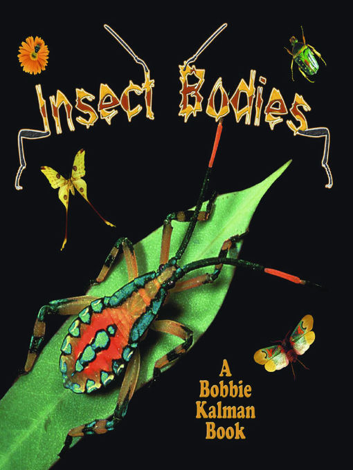 Title details for Insect Bodies by Molly Aloian - Wait list